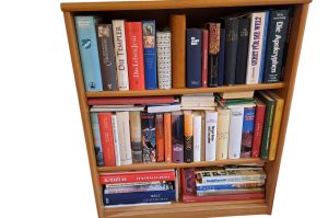 Bücherregal WZ EG