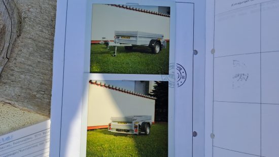 Anhänger FIN: G799202H850733