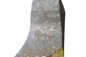 Geißfuß K1 SP