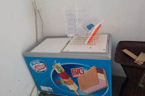 Eistruhe L