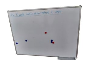 White Board