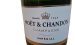 Moet Champagner Brut