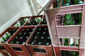 Grüner Veltliner trocken