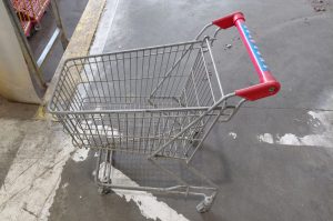 Kindereinkaufswagen E