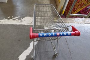 Kindereinkaufswagen E