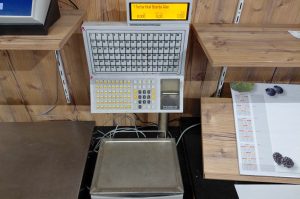 Elektronische Waage O