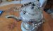 Samovar WZ