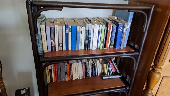 Bücherregal mit Büchern