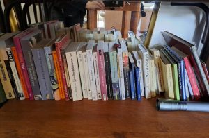 Bücherregal mit Büchern