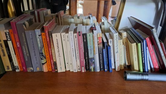 Bücherregal mit Büchern