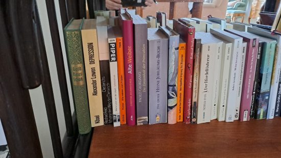 Bücherregal mit Büchern