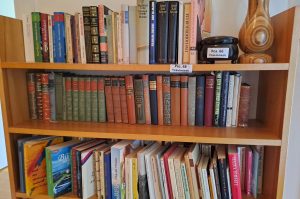 Bücherregal mit Büchern VZ