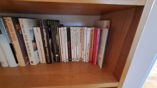 Bücherregal mit Büchern VZ