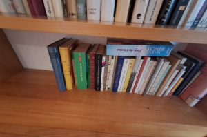 Bücherregal mit Büchern VZ