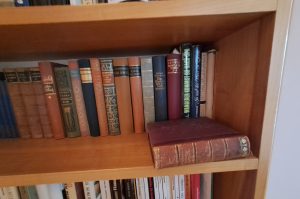 Bücherregal mit Büchern VZ