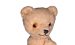 Historischer Teddybär