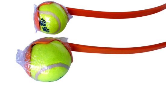 Hundespielzeug