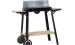 Kohlegrill
