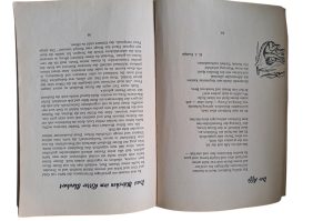 Buch Betthüpferl 1 OG