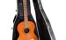 Gitarre 1 OG
