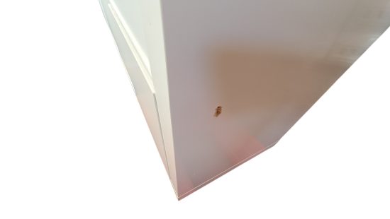 Raumteilerschrank