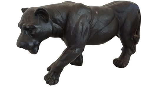 Schwarzer Panther