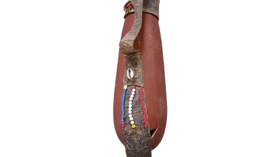 Afrikanische Kalebasse