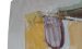 Aquarelle