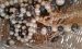 Modeschmuck