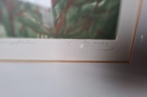 Farbradierung R