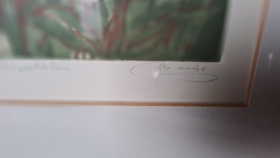 Farbradierung R