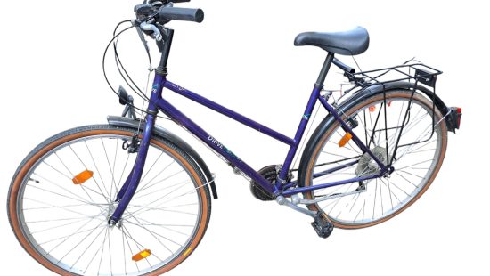 Damenfahrrad G