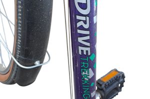 Damenfahrrad G