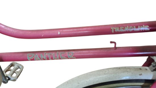 Damenfahrrad G