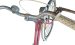 Damenfahrrad G