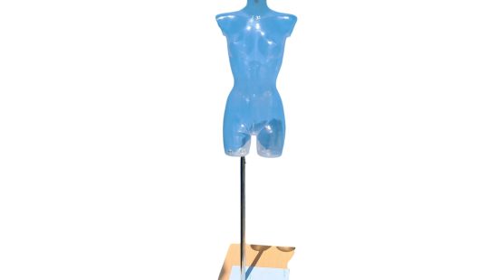 Torso weiblich transparent