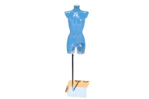 Torso weiblich transparent