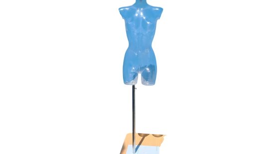 Torso weiblich transparent