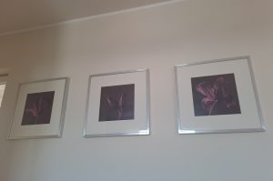 Wandbilder W1