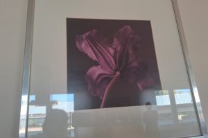 Wandbilder W1