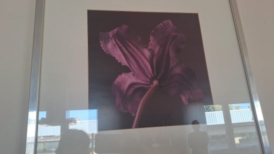 Wandbilder W1