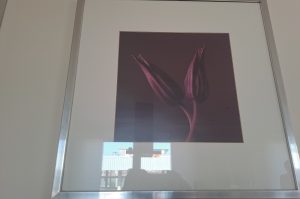 Wandbilder W1