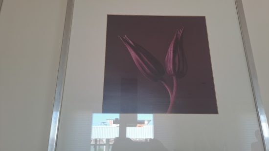 Wandbilder W1