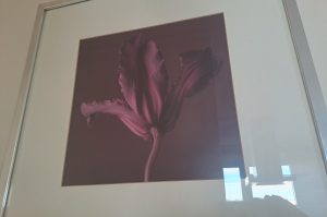 Wandbilder W1