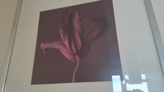 Wandbilder W1
