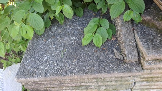 Waschbetonplatten G