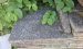 Waschbetonplatten G