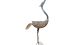 Metallvogel T