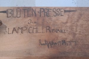 Blütenpresse T