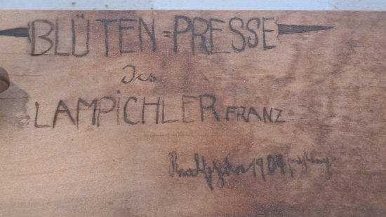 Blütenpresse T